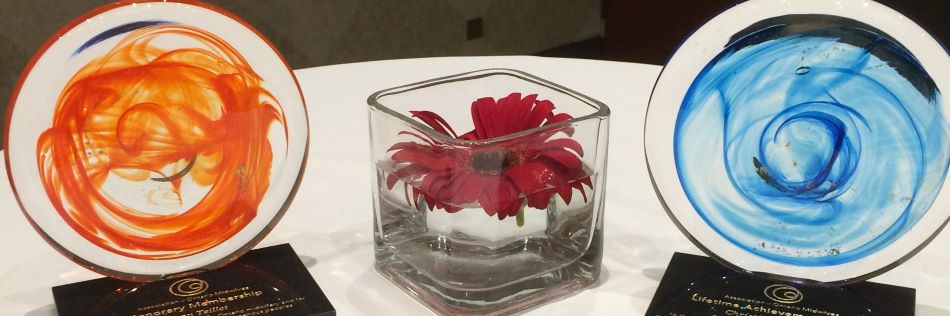 Banner image of 2 Midwifery Award trophies on either side of a vase with a red flower