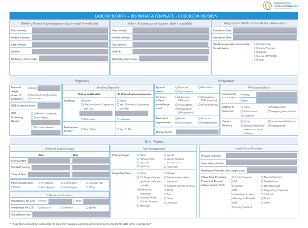 Labour and birth BORN data filliable form